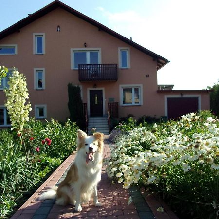 Agroturystyka U Basi Wola Kalinowska Exterior photo